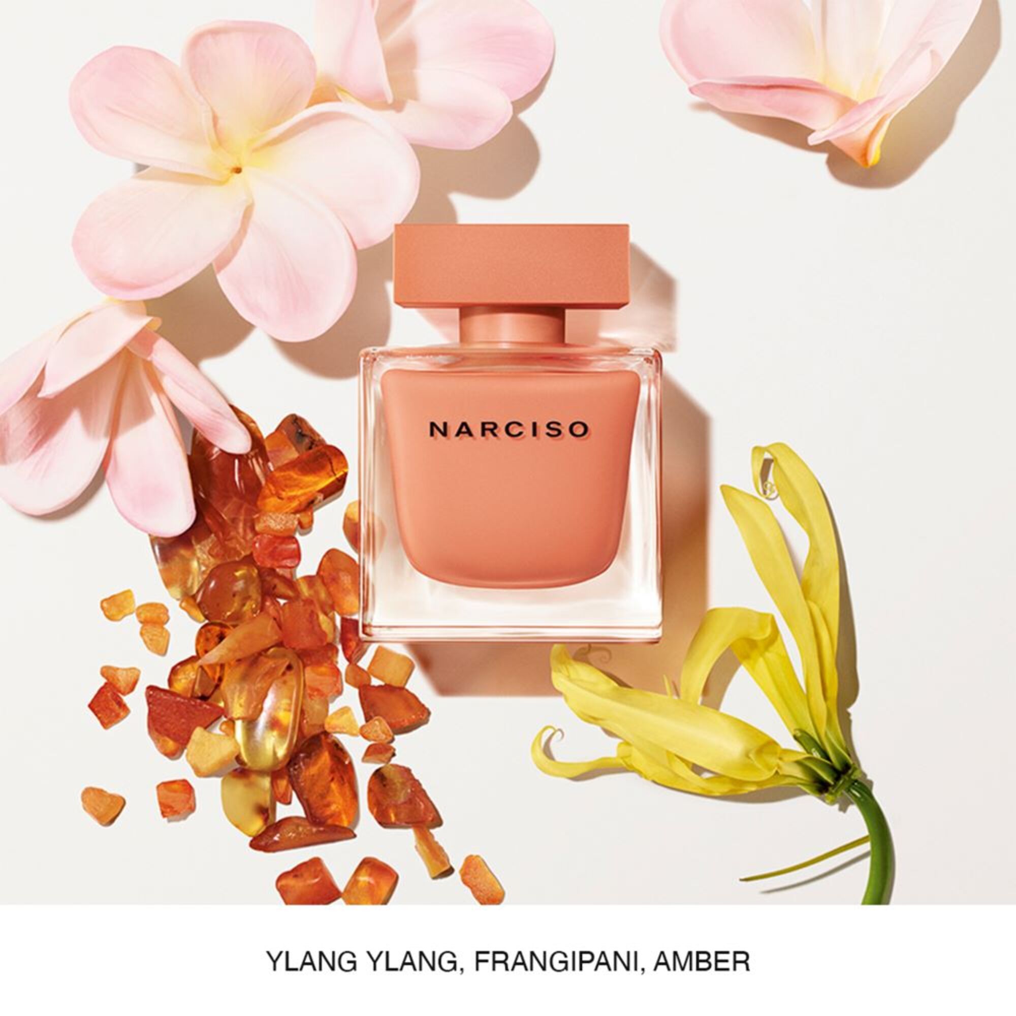 90 ML Narciso Rodriguez Narciso Ambrée Eau de Parfum 1 of 2 Eau de Parfum