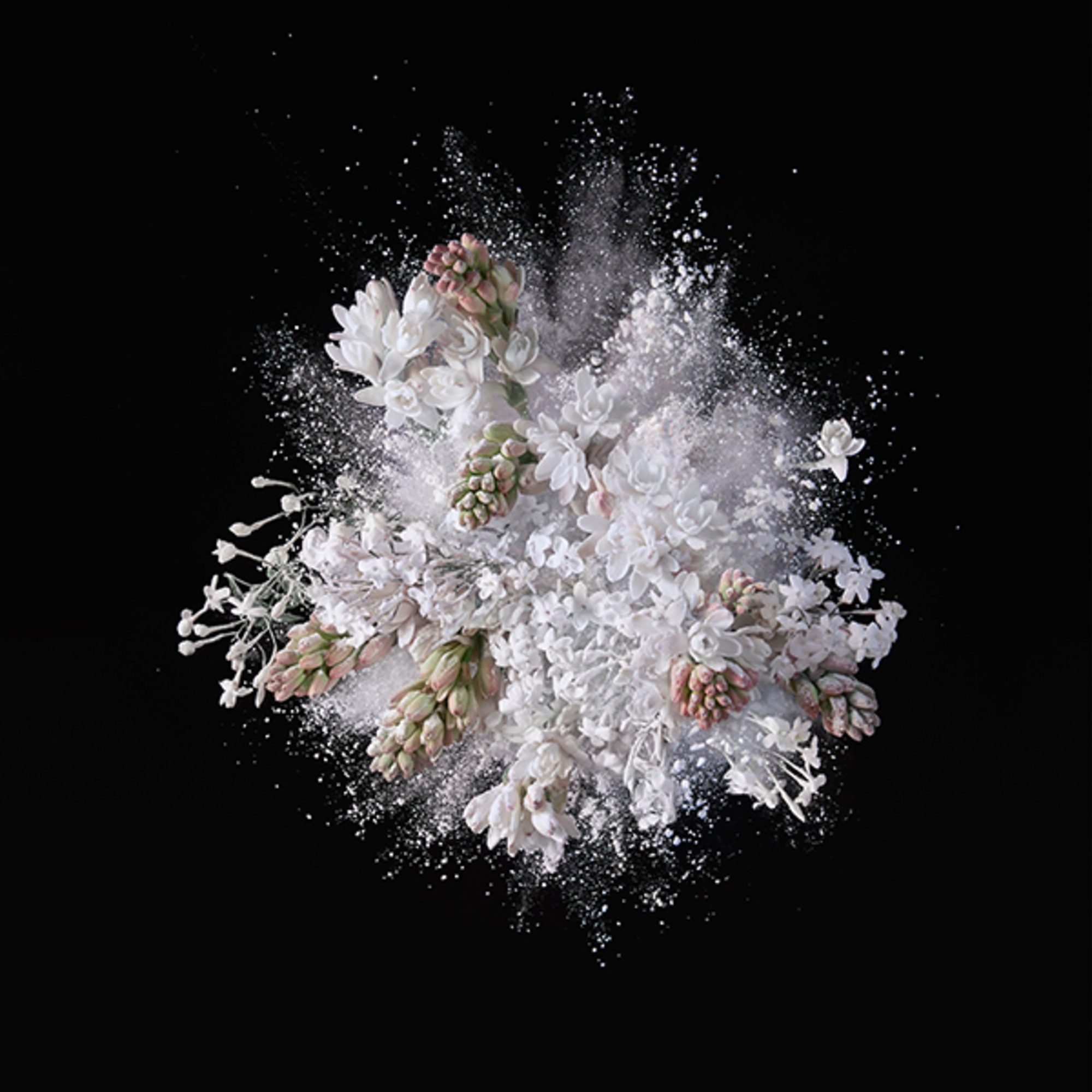 Crème pour le corps