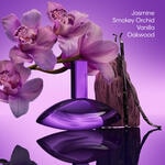 30 ML Calvin Klein Euphoria Bold Elixir Parfum Intense  4 of 6 Parfum Intense