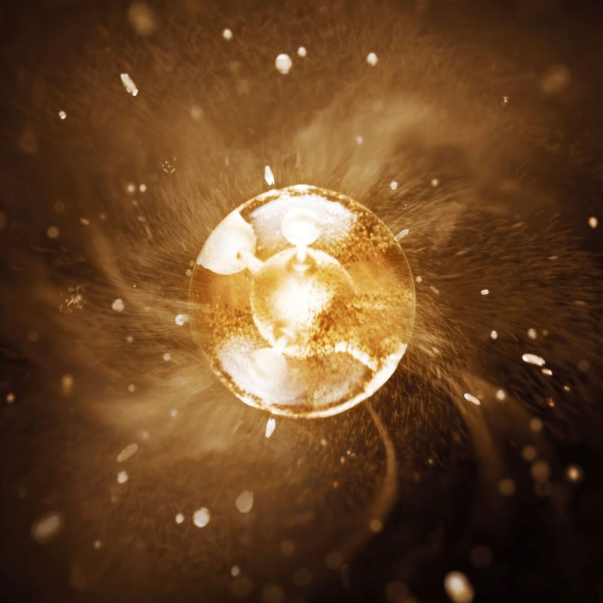 Crème Yeux Radiance - Recharge