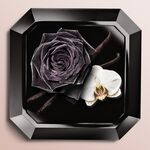75 ML Lancôme La Nuit Trésor Eau de Parfum 2 of 2 Eau de Parfum
