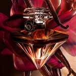 50 ML Lancôme LA NUIT TRESOR VANILLE NOIR EDP Eau de Parfum 6 of 6 Eau de Parfum