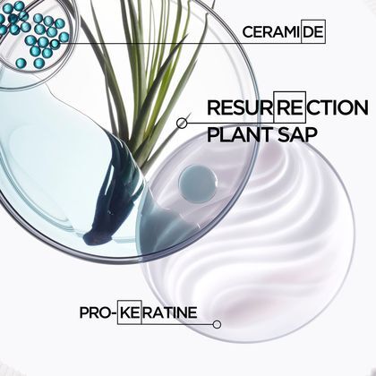 Reparierende Maske für geschädigtes Haar