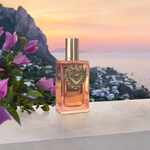 30 ML Dolce&Gabbana D&G DEVOTION Eau de Parfum 4 of 5 Eau de Parfum