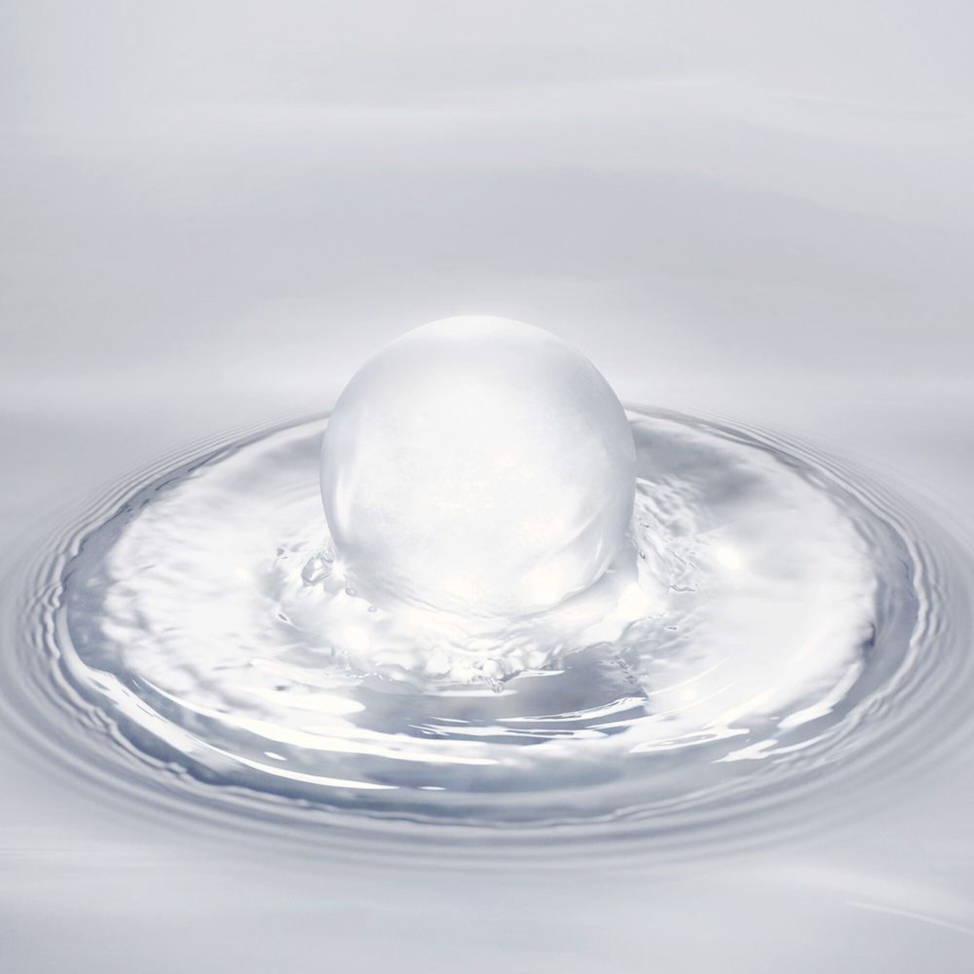 Essence Extraordinaire