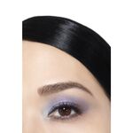  CHANEL CC HOLID COLL 25 LIDSCHATTEN  4 of 6 LIDSCHATTEN