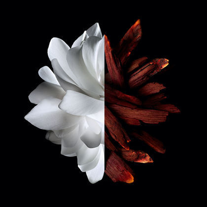Eau de Parfum Rouge