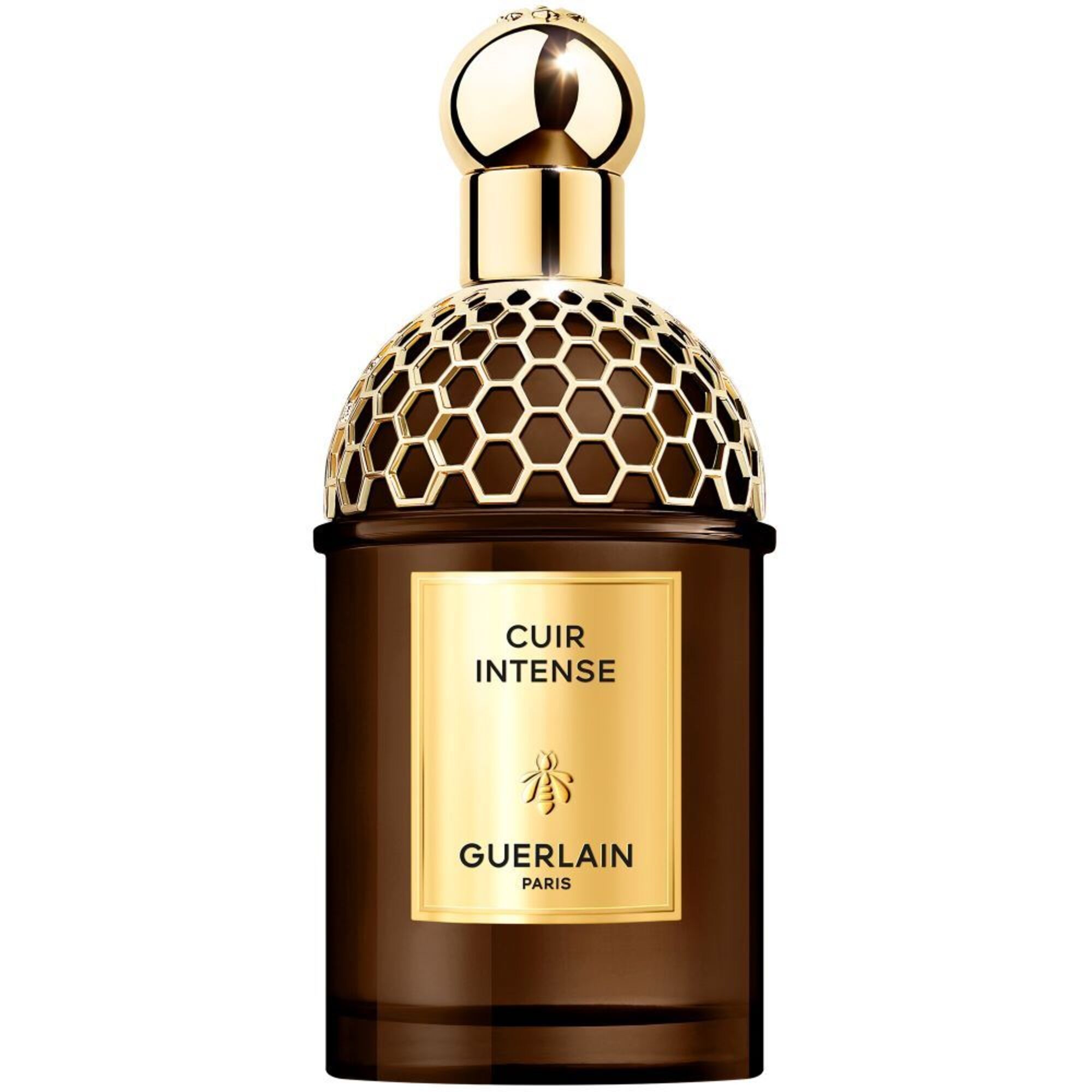 125 ML Guerlain Absolus Allegoria Cuir Intense Eau de Parfum 1 of 1