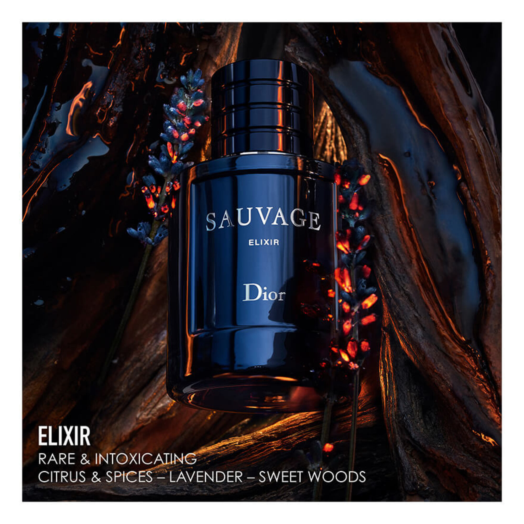100 ML DIOR Sauvage Elixir Parfum  1 of 1 Parfum