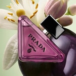30 ML Prada Paradoxe Sweet Chemistry Eau de Parfum 2 of 8 Eau de Parfum