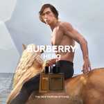 200 ML Burberry Hero Parfum Intense  7 of 9 Parfum Intense