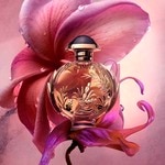30 ML Rabanne Olympéa Solar Eau de Parfum  7 of 8 Eau de Parfum