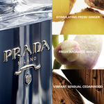 50 ML Prada L'Homme Prada L' Eau - Eau de Toilette  3 of 3 L' Eau - Eau de Toilette