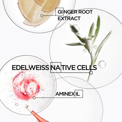 Shampoing fortifiant pour cheveux épais et secs, en cas de chute et casse de cheveux
