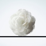 100 ML CHANEL DÉMAQUILLANTS D�maquillant  7 of 7 D�maquillant