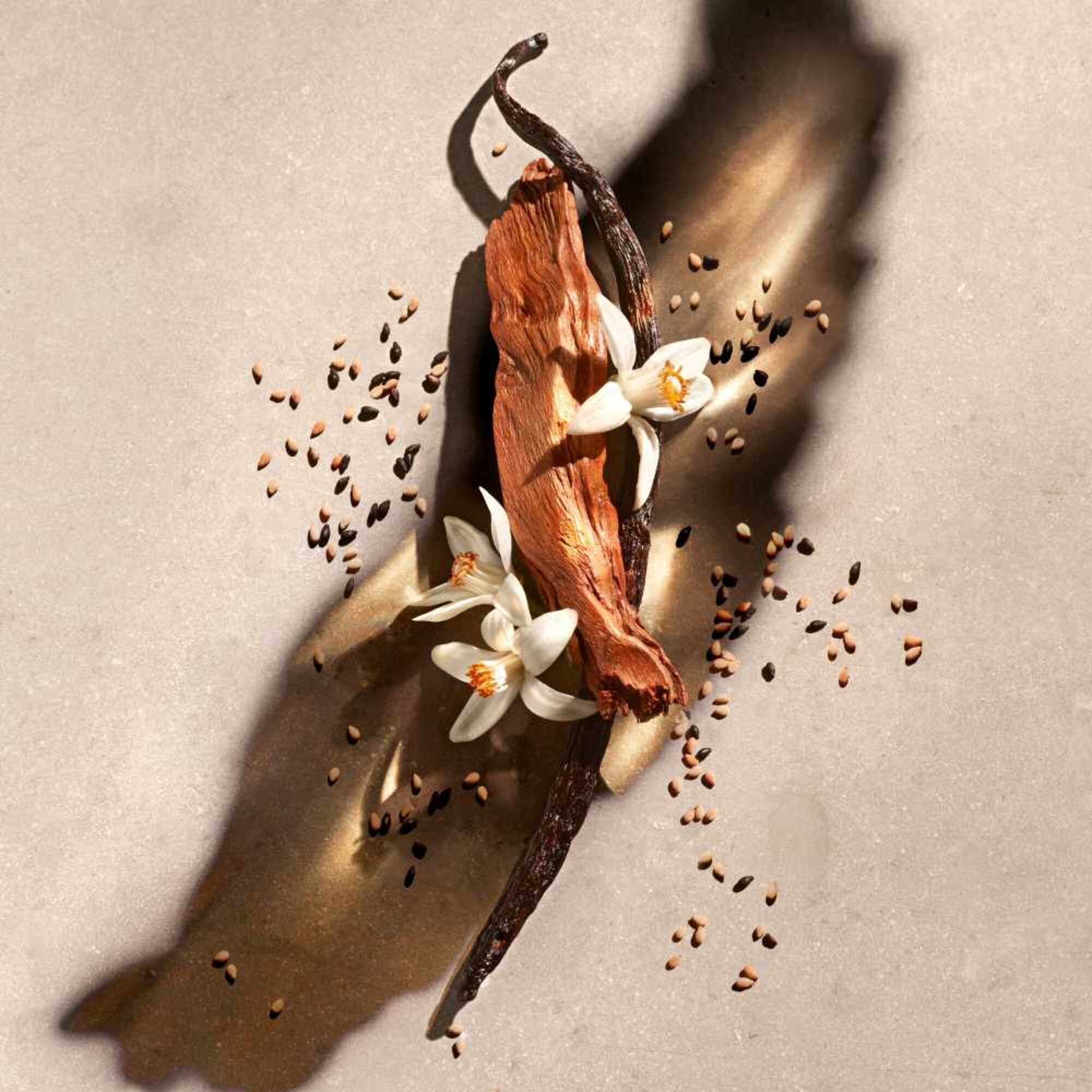 Zadig Eau de Parfum - Recharge