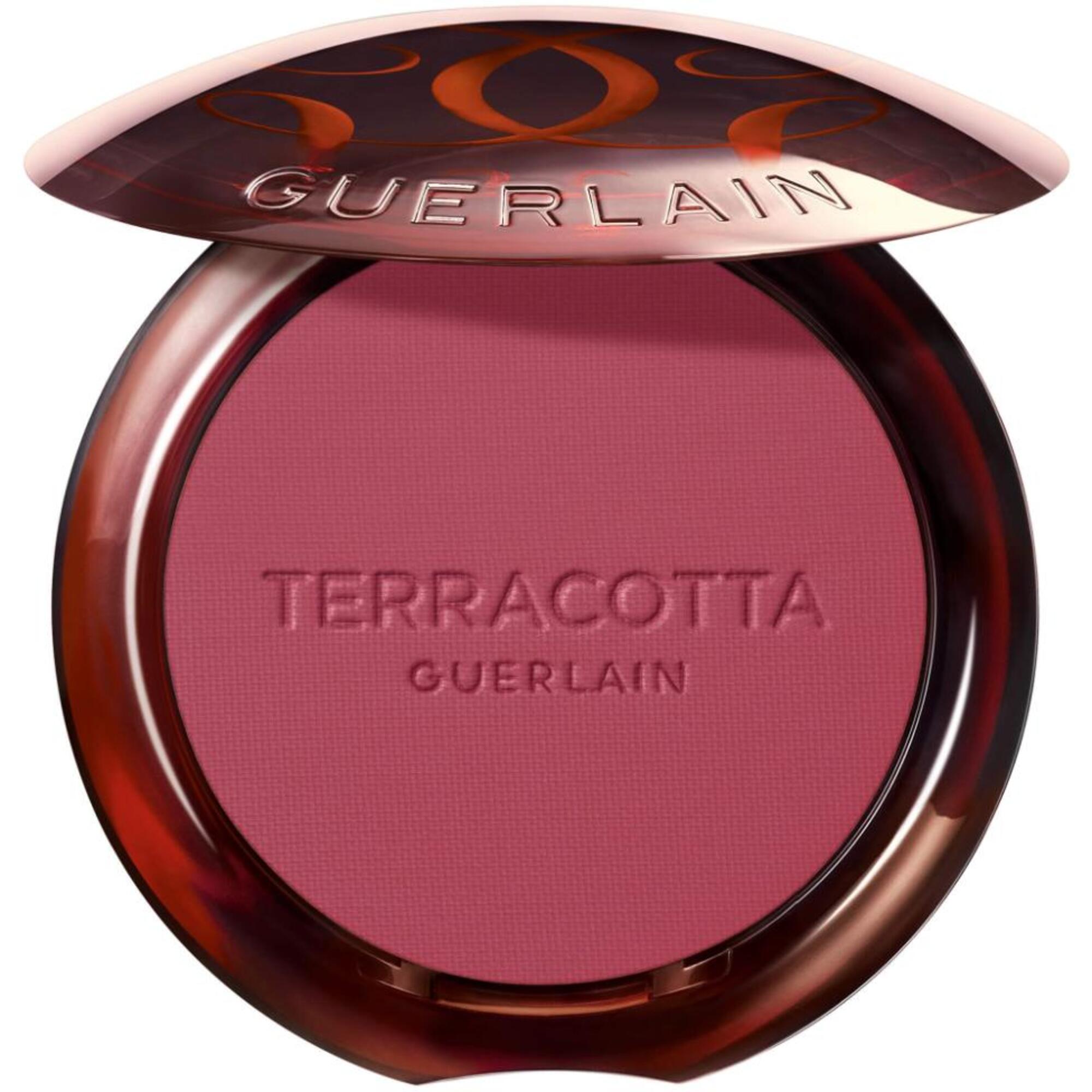 Guerlain Terracotta Blush & Sun Puder 1 of 1