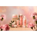 250 ML Marionnaud Skin Systeme: Bath & Body Lait corps hydratant 24h Senteur Fleurs de cerisier & coton 4 of 5 Lait corps hydratant 24h Senteur Fleurs de cerisier & coton