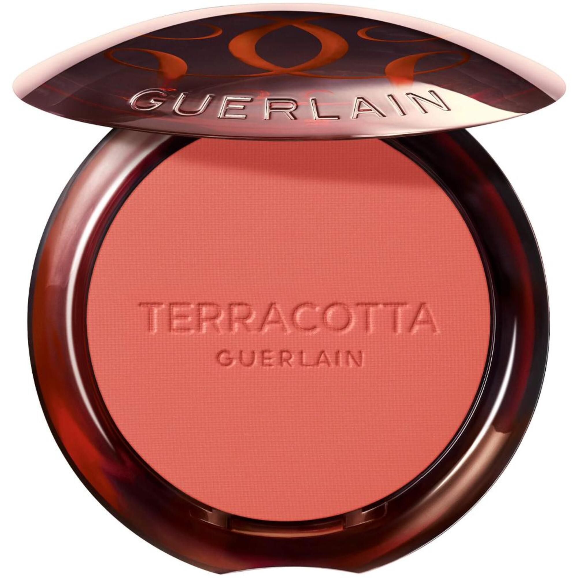 Guerlain Terracotta Blush & Sun Poudre 1 of 1 Poudre