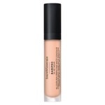 Concealer Mineral SPF 25 PA+++