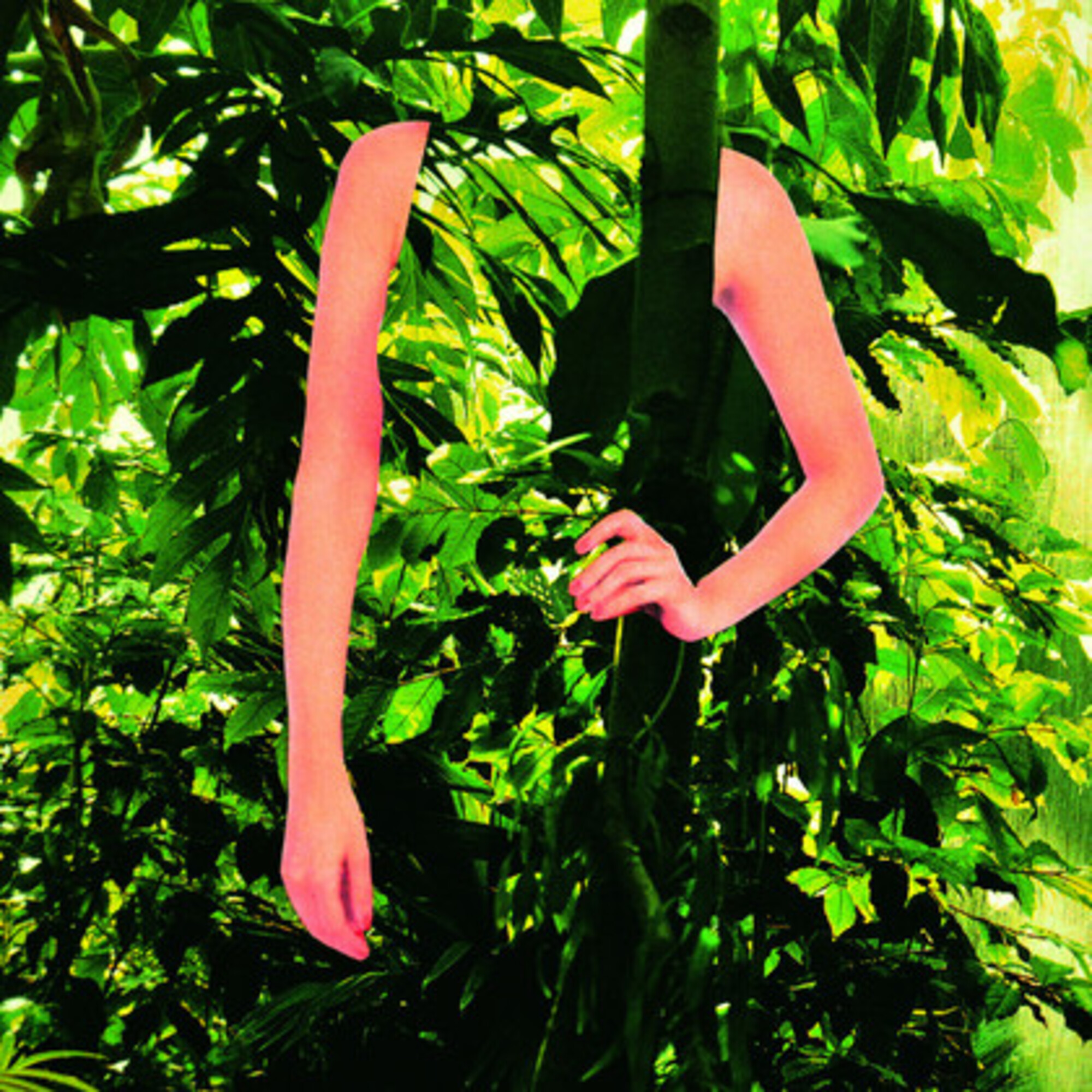 MAISON M REPLICA SOUL OF FOREST EDP VAPO