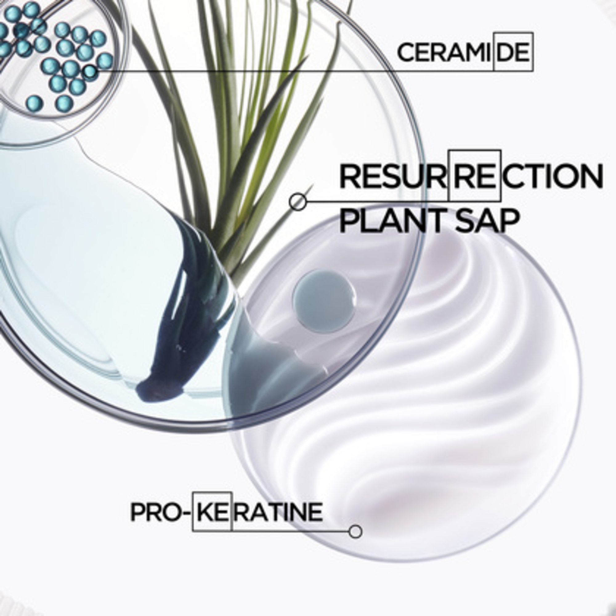 Reparierendes Shampoo für geschädigtes Haar