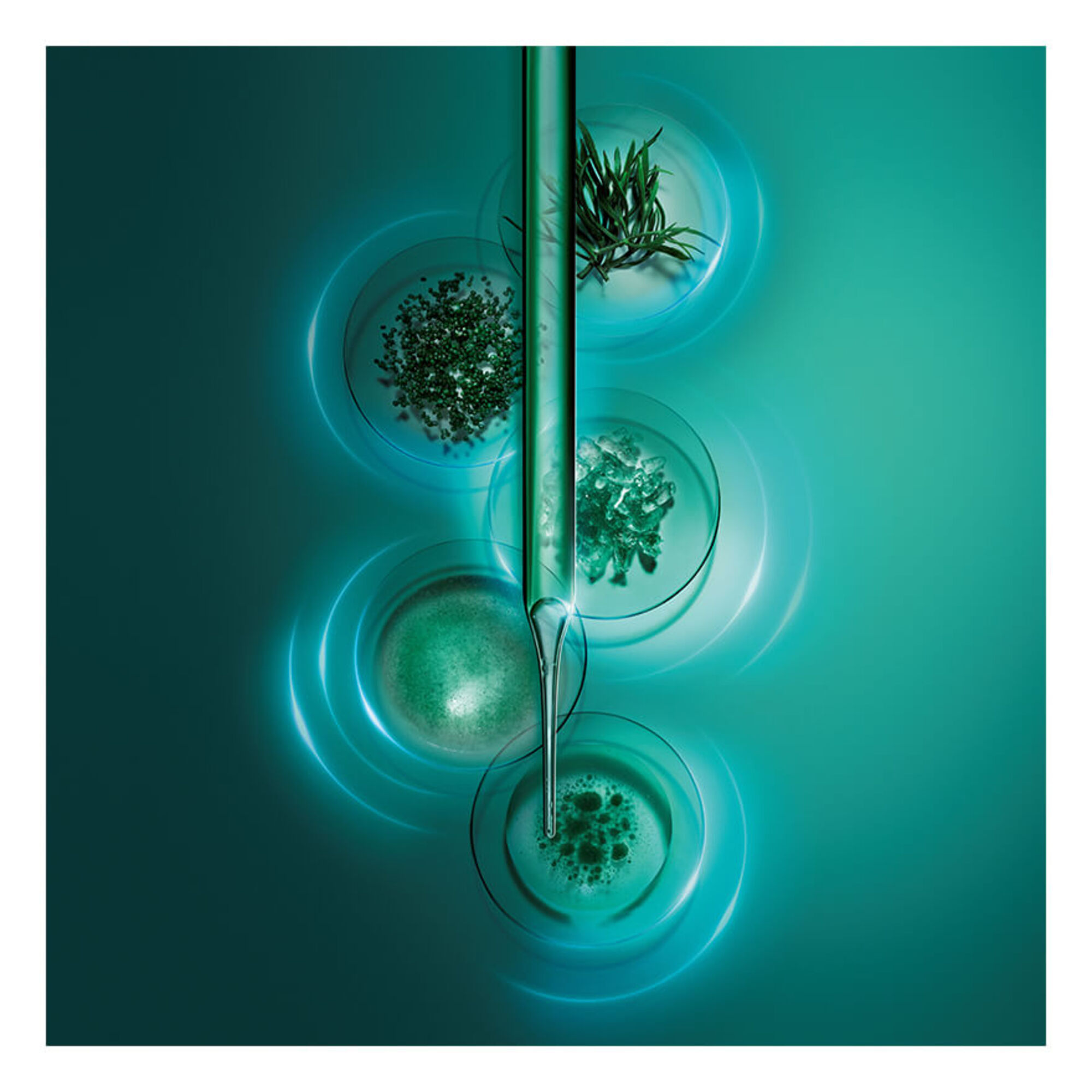 Sérum de Nuit pour le Visage