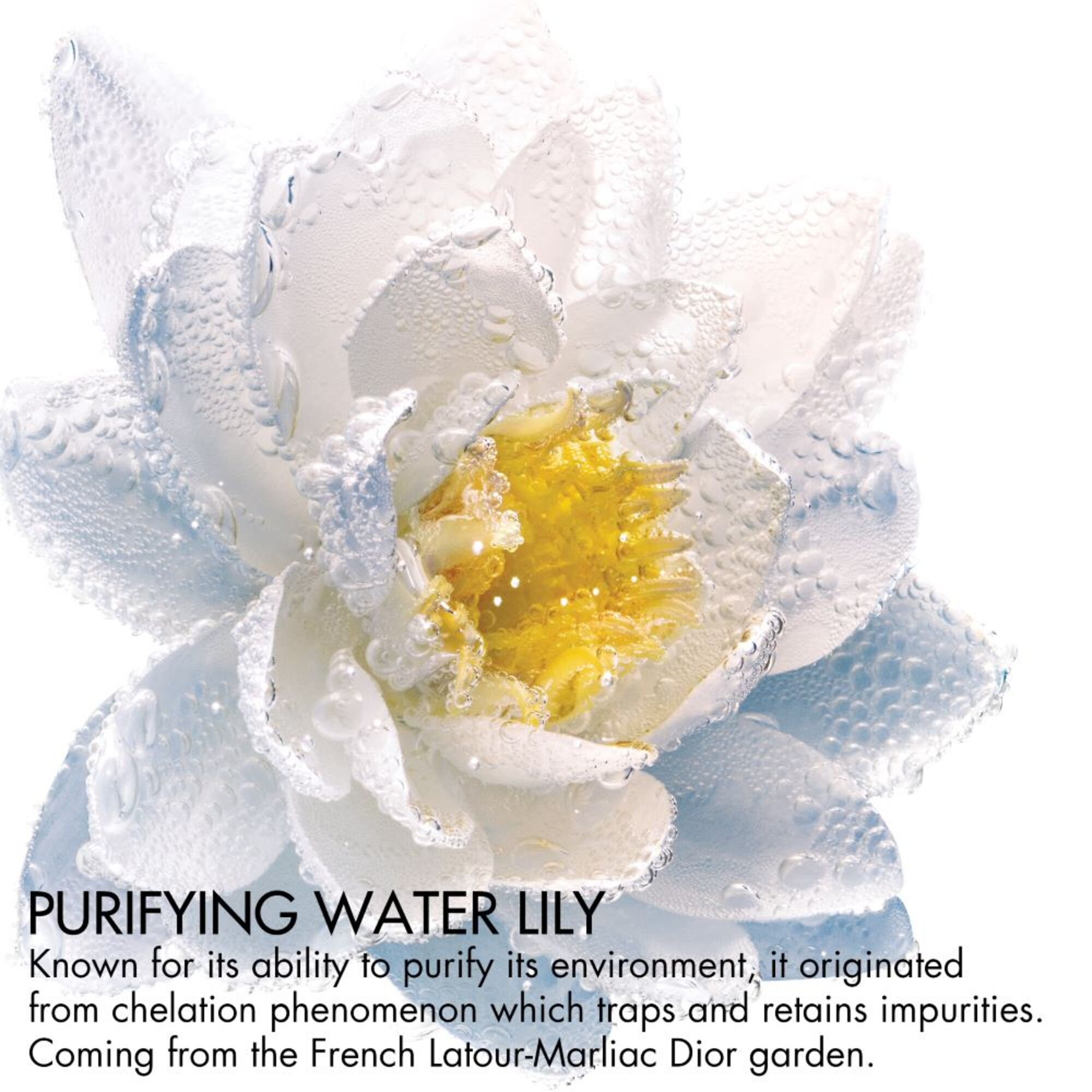 Augen- und Lippen-Make-Up-Entferner