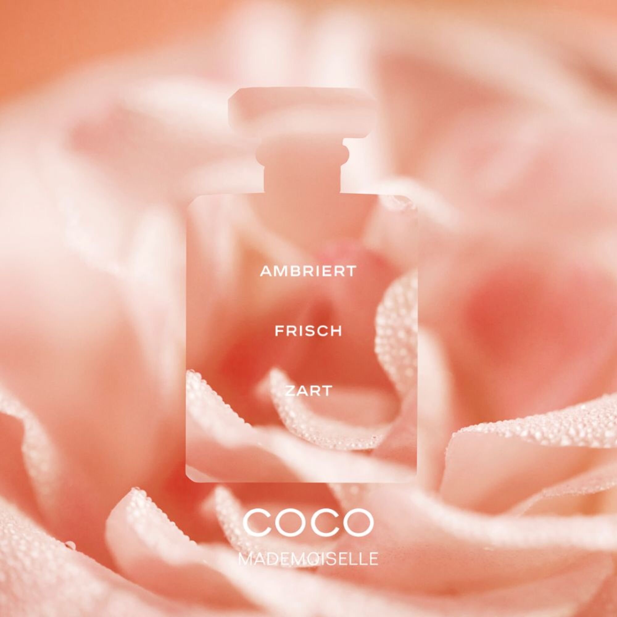 50 ML CHANEL COCO MADEMOISELLE L'EAU PRIVÉE - EAU POUR LA NUIT 1 of 3