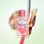 10 ML Prada Infusion Rhubarbe Eau de Parfum 4 of 4 Eau de Parfum