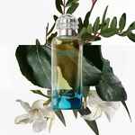 50 ML Hermès Un Jardin en Méditerranée Eau de Toilette 3 of 4 Eau de Toilette
