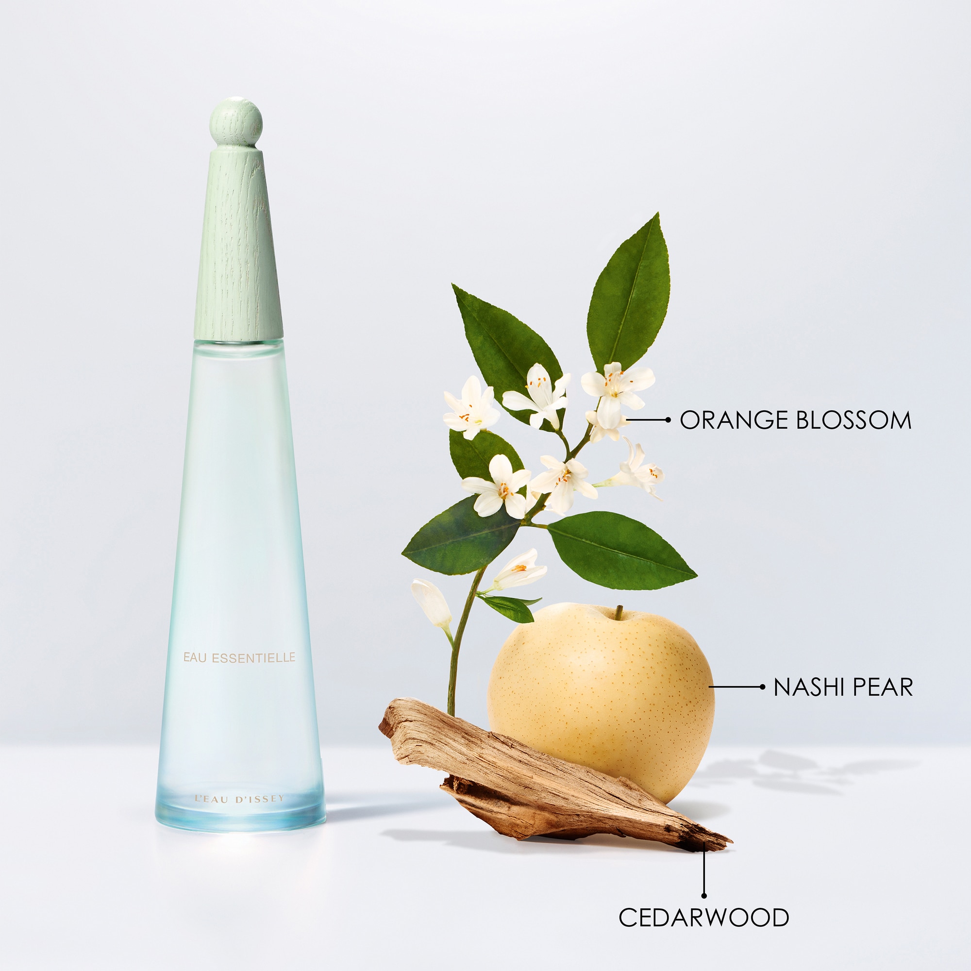 50 ML Issey Miyake L'Eau d'Issey Eau Essentielle Eau de Parfum 1 of 5