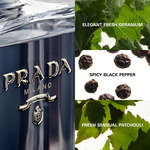 50 ML Prada L'Homme Prada Eau de Toilette  3 of 3 Eau de Toilette