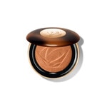 Highlighter